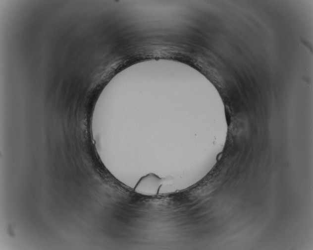 X0000098050306200804251110