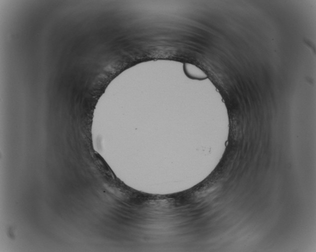 X0000098050307200804251110