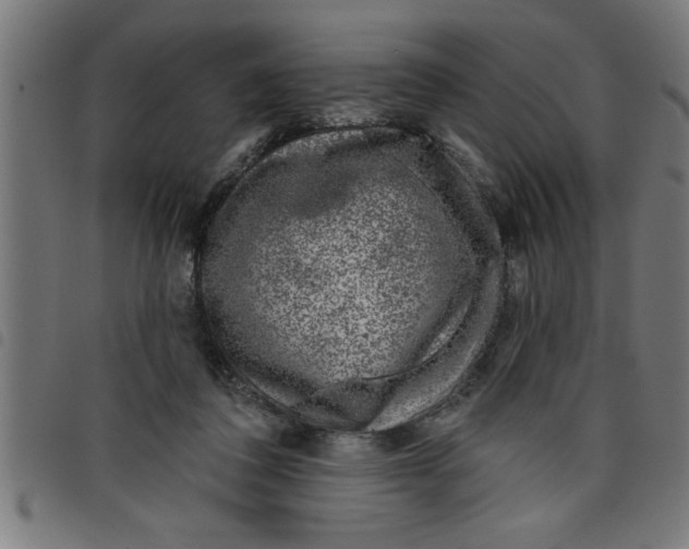 X0000098050308200804251110