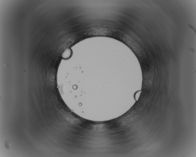 X0000098050309200804251110