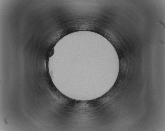 X0000098050310200804251110