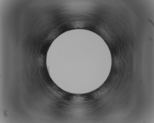 X0000098050311200804251110