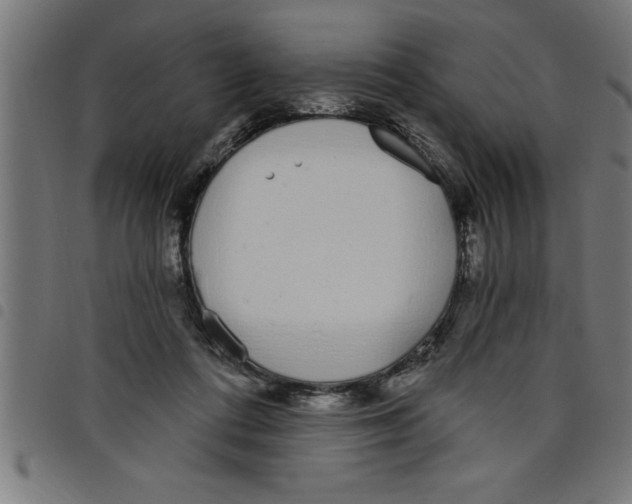 X0000098050312200804251110