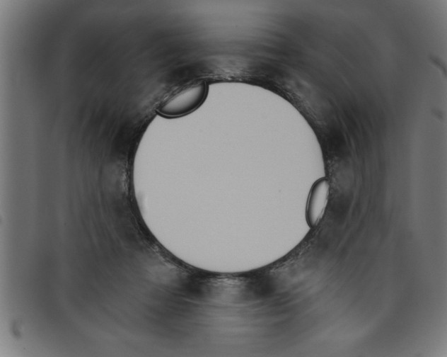 X0000098050313200804251110