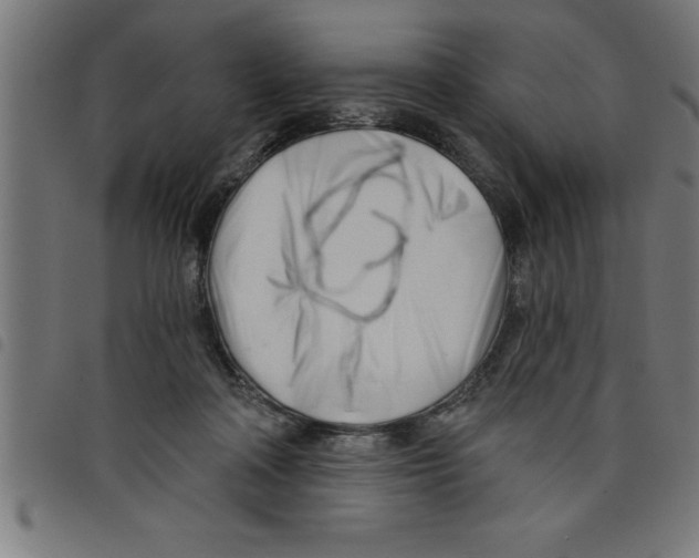 X0000098050314200804251110