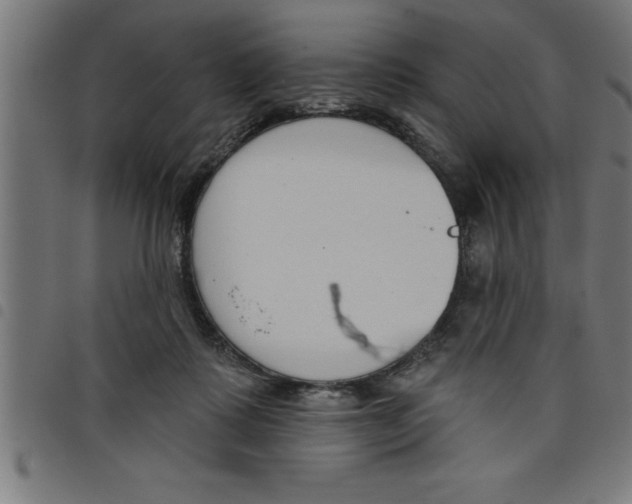 X0000098050315200804251110