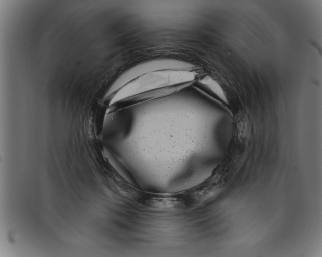 X0000098050316200804251110