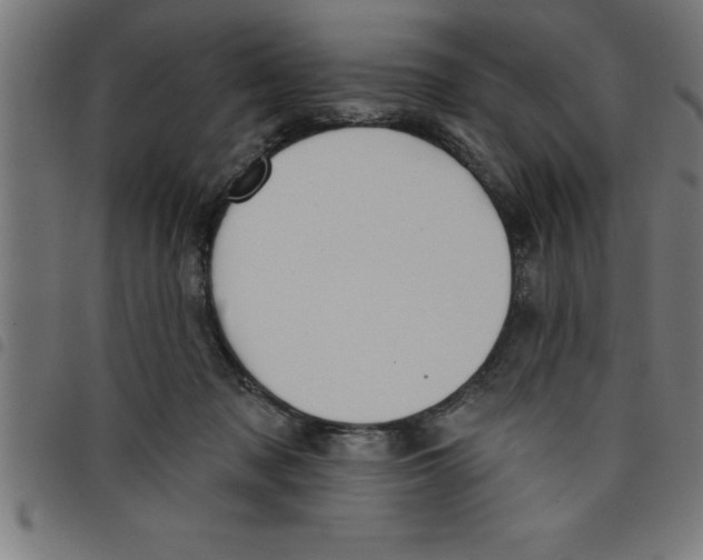 X0000098050317200804251110