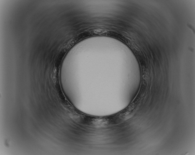 X0000098050319200804251110