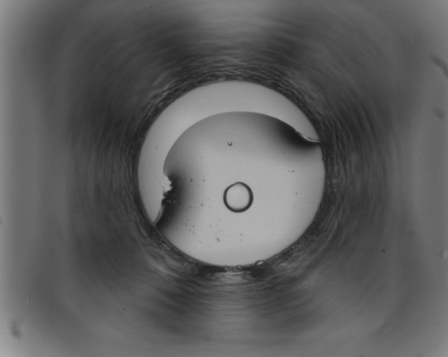 X0000098050320200804251110