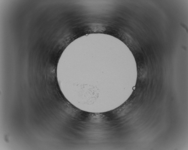 X0000098050321200804251110