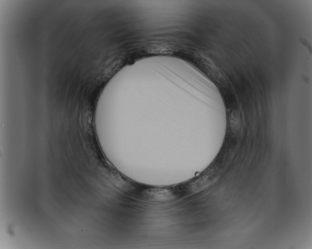 X0000098050322200804251110