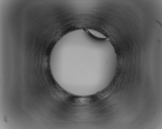 X0000098050323200804251110