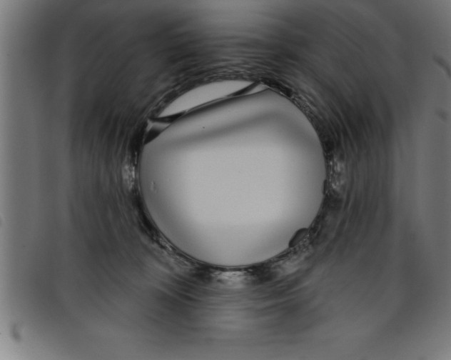 X0000098050324200804251110