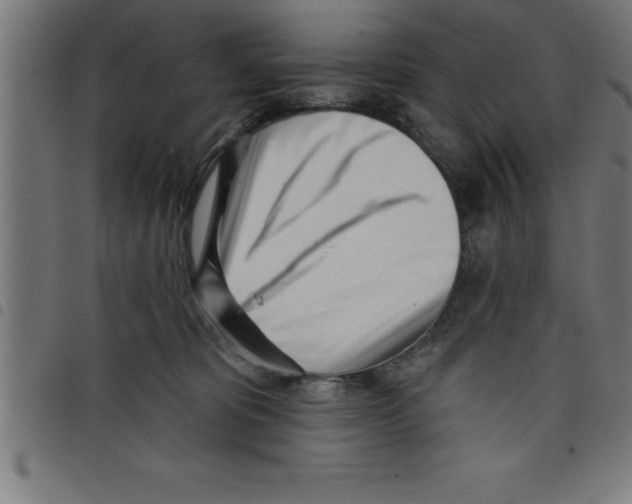 X0000098050325200804251110