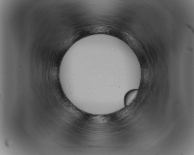 X0000098050326200804251110