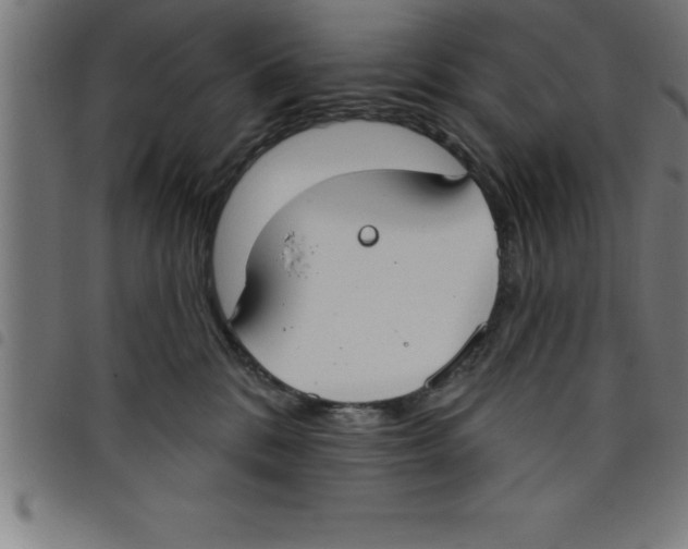 X0000098050328200804251110