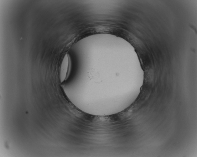 X0000098050329200804251110