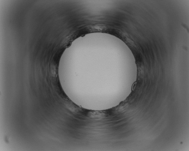 X0000098050331200804251110