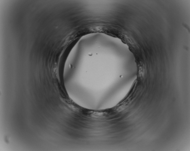 X0000098050332200804251110