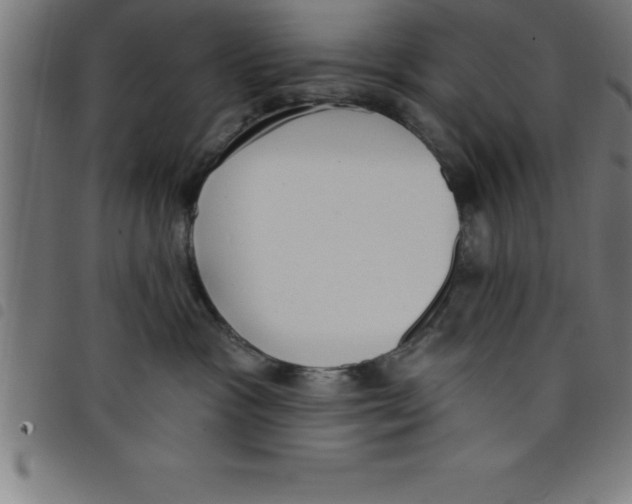 X0000098050333200804251110