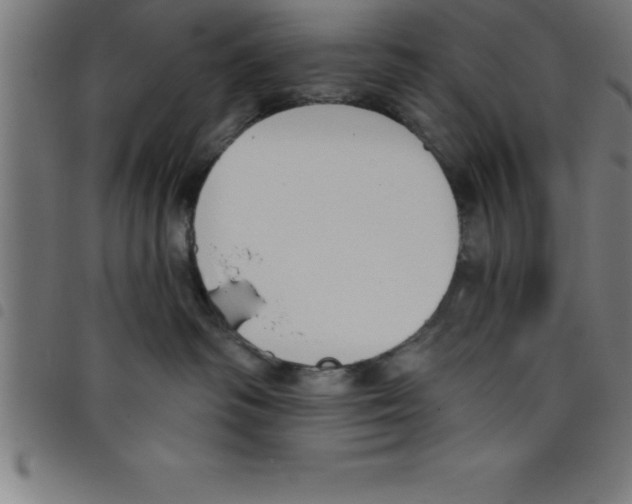 X0000098050334200804251110