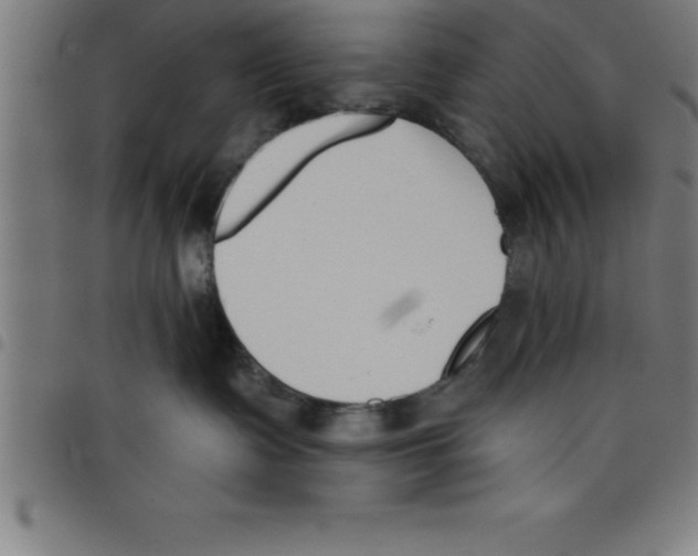 X0000098050335200804251110