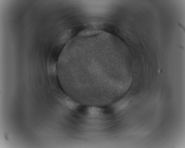 X0000098050336200804251110