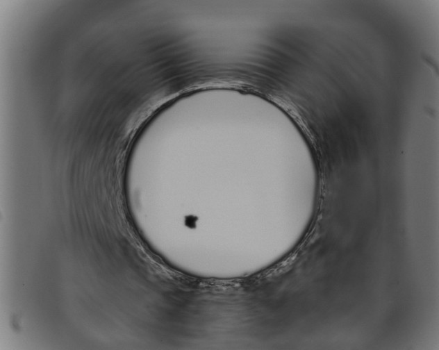 X0000098050337200804251109