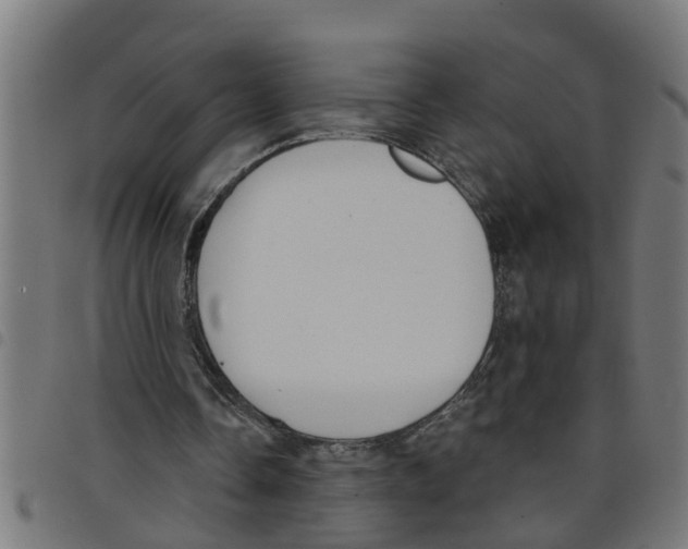 X0000098050338200804251109