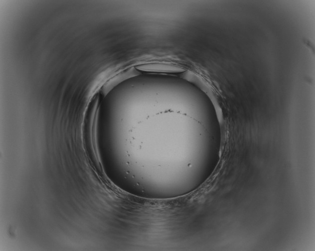 X0000098050340200804251109