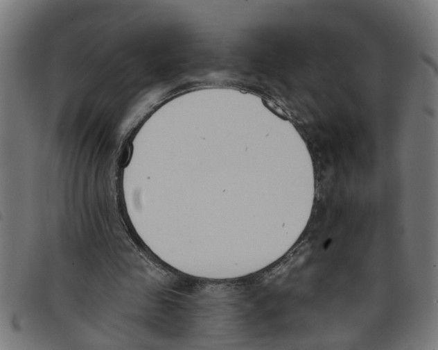 X0000098050341200804251109