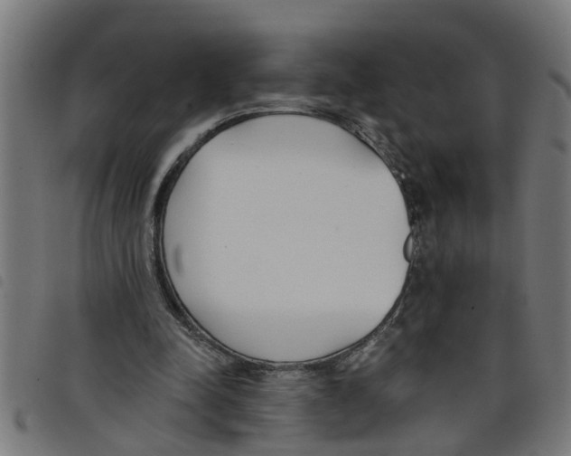 X0000098050342200804251109