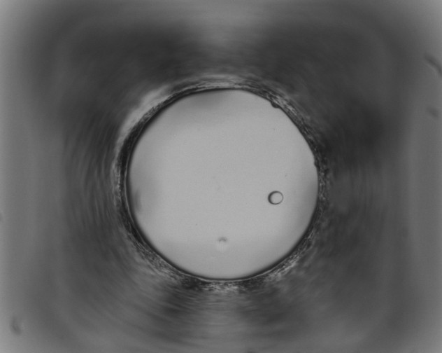 X0000098050343200804251109