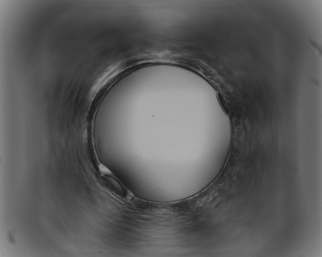 X0000098050344200804251109