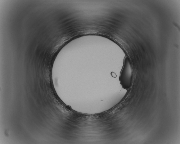 X0000098050345200804251109