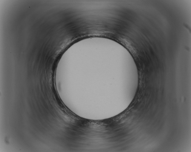 X0000098050346200804251109