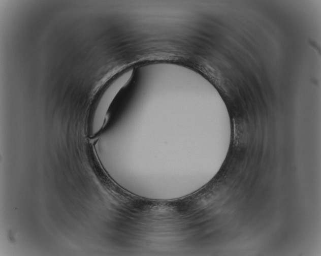 X0000098050348200804251109