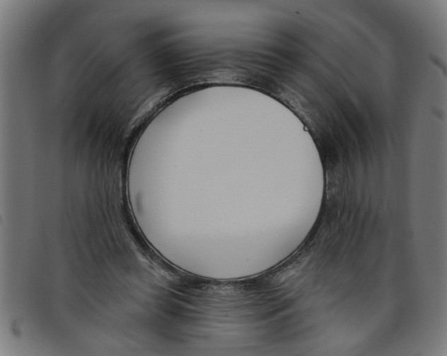 X0000098050349200804251109