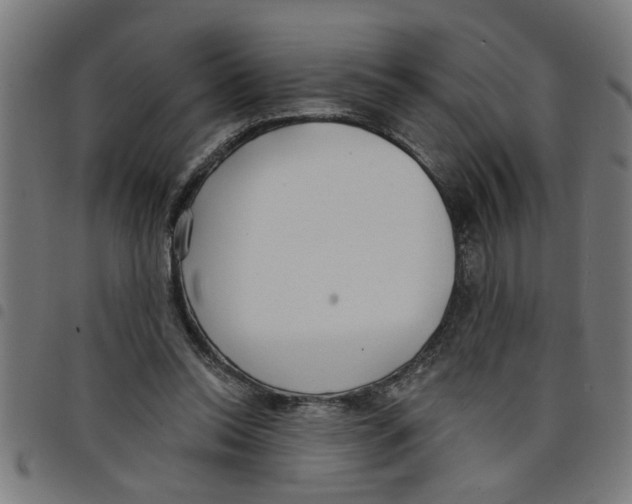 X0000098050350200804251109