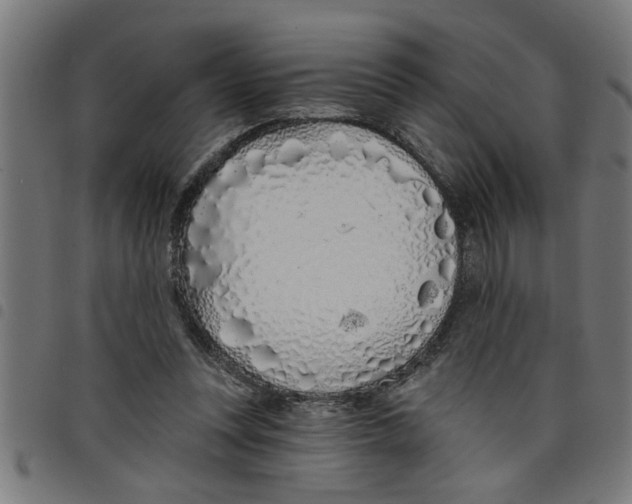 X0000098050351200804251109