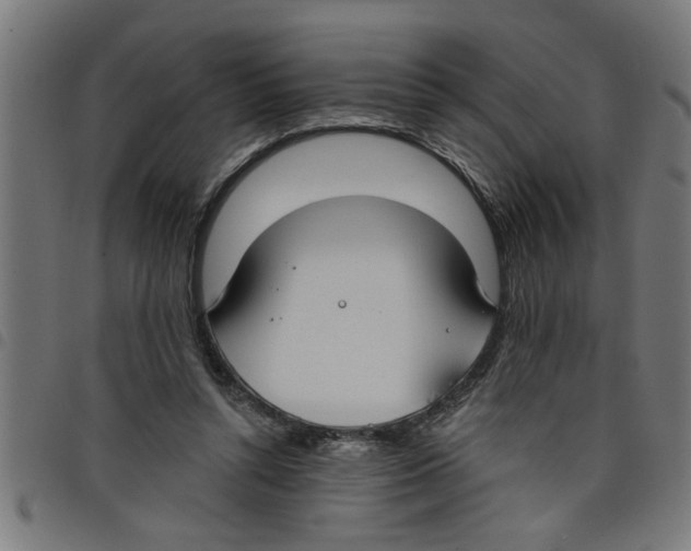 X0000098050352200804251109