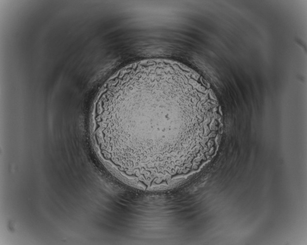 X0000098050353200804251109