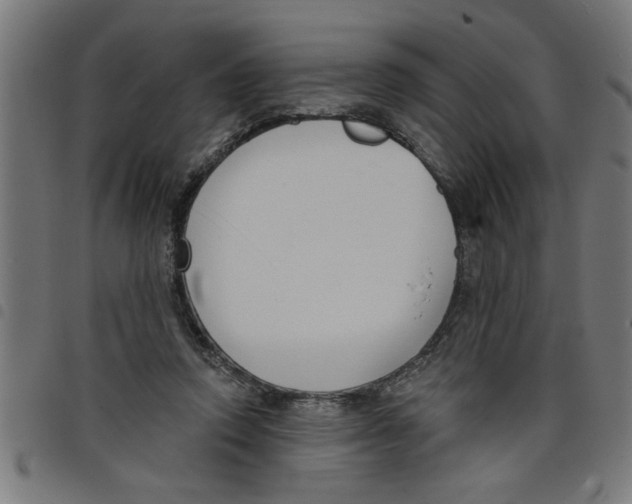 X0000098050354200804251109