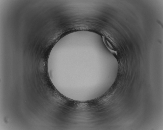 X0000098050355200804251109