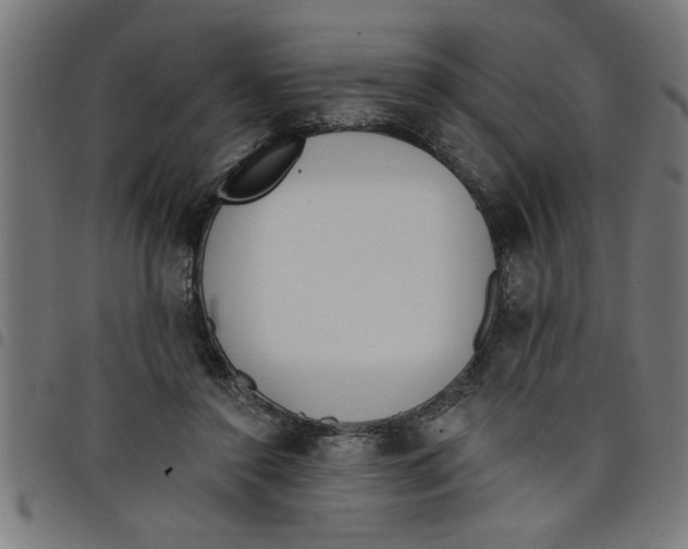 X0000098050356200804251109