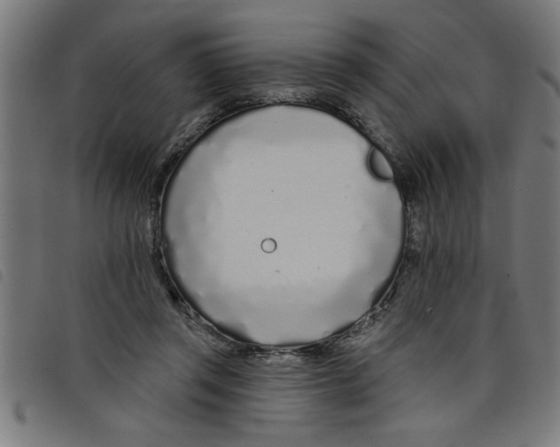 X0000098050357200804251109