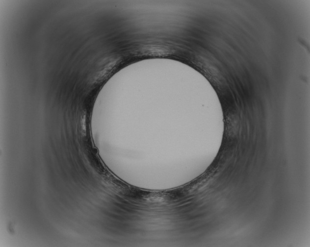 X0000098050358200804251109