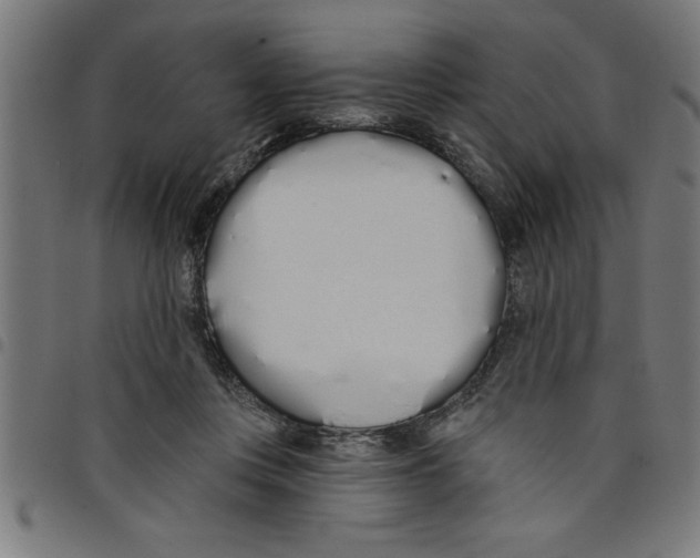 X0000098050359200804251109