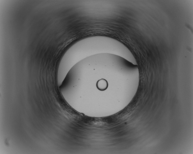 X0000098050360200804251109